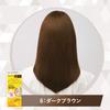 Hoyu Cielo Mousse Color 6 Hair (Gray Dye) (Quasi-drug)
