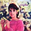 LP Record CLAUDINE LONGET  Claudine LP121 AM 1967 US Jazz Used
