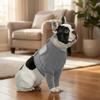 Breathable Dog Leg Sleeve Long Sleeve Professional Anti-lick Sleeve Polyester High Elasticity Dog Knee Pads Joint Protection