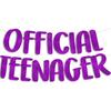 Official Teenager Purple Glitter Banner - 13th Birthday Party Decorations Gifts and Supplies