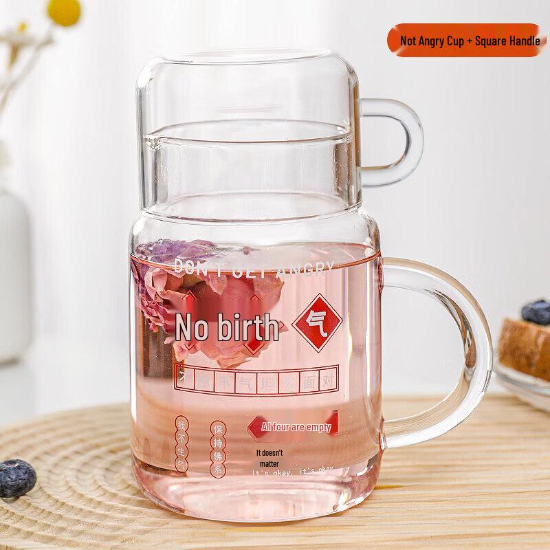 High Borosilicate Glass Tea Infuser Water Bottle with Lid