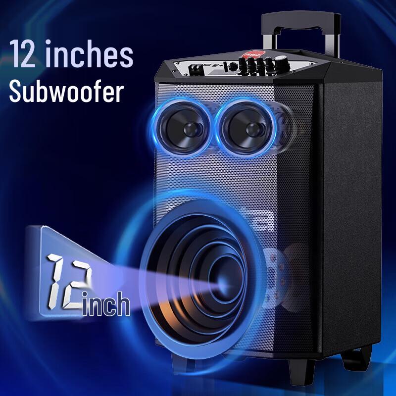 Malata M+9017C 12-inch Portable PA Speaker (CN Version)