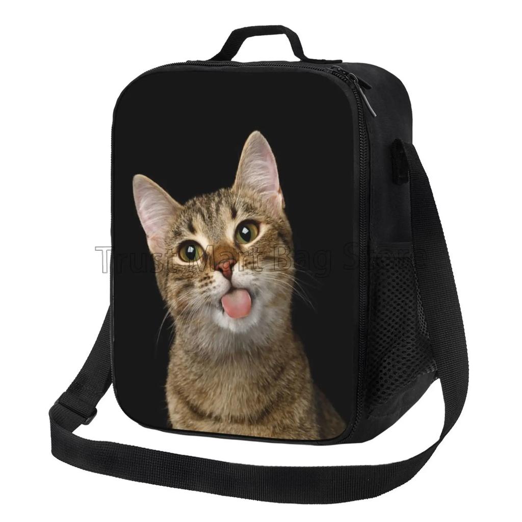 Portrait Cat with Butterflies Insulated Lunch Bag for School Work Picnic Beach Reusable Thermal Cooler Tote with Shoulder Strap