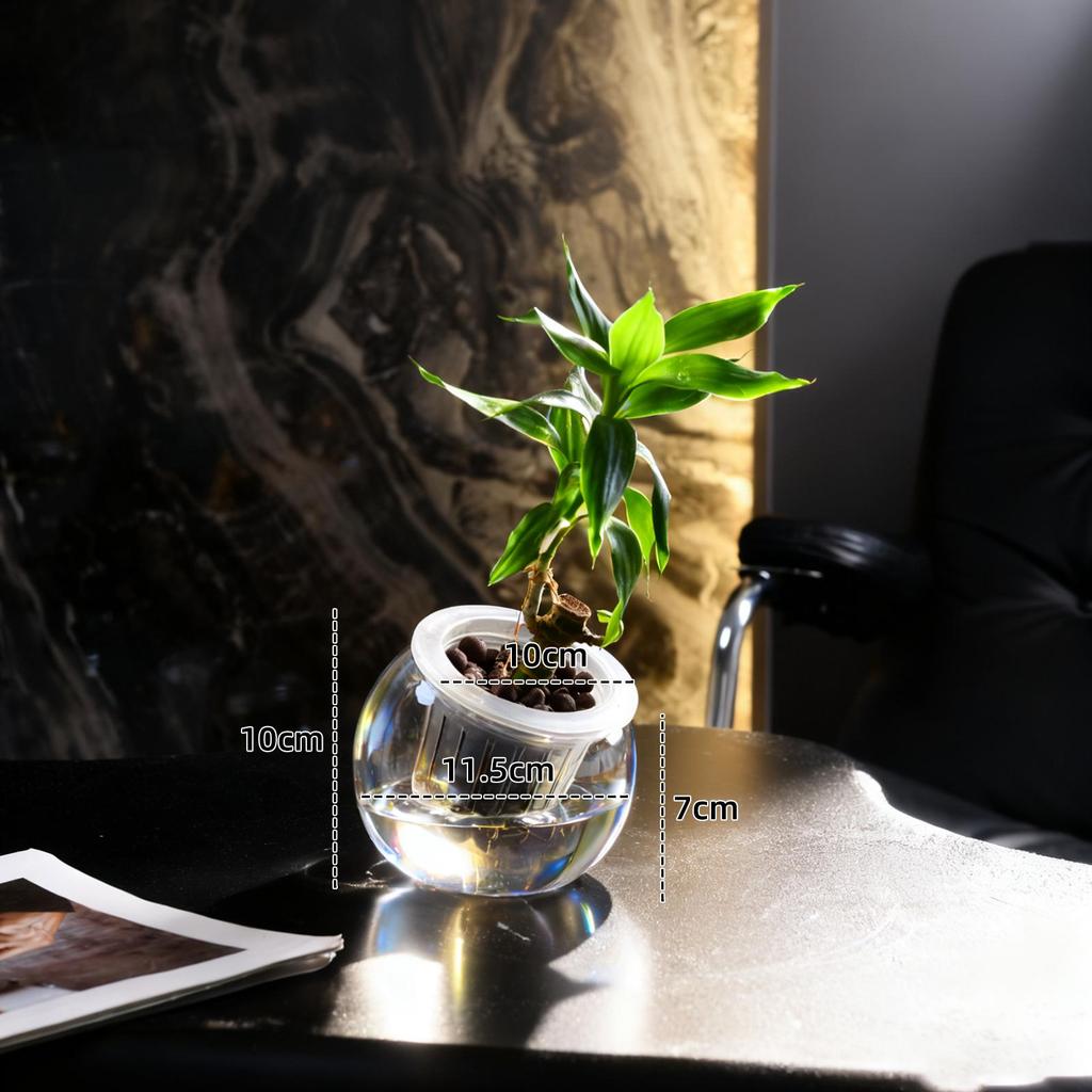 Small Hydroponic Vase for Phalaenopsis & Succulents - Desktop Decoration