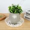5pcs 6/8/10/12 Inch Plastic Flower Pot Tray Transparent Anti-slip Drip Trays Sturdy Round Plant Base Indoor Outdoor