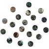 20 Pcs 8mm Natural Abalone Shell Coin Beads Round Shell Retro Flat Round Shell Bulk Beads Loose Beads Charm for Bracelet
