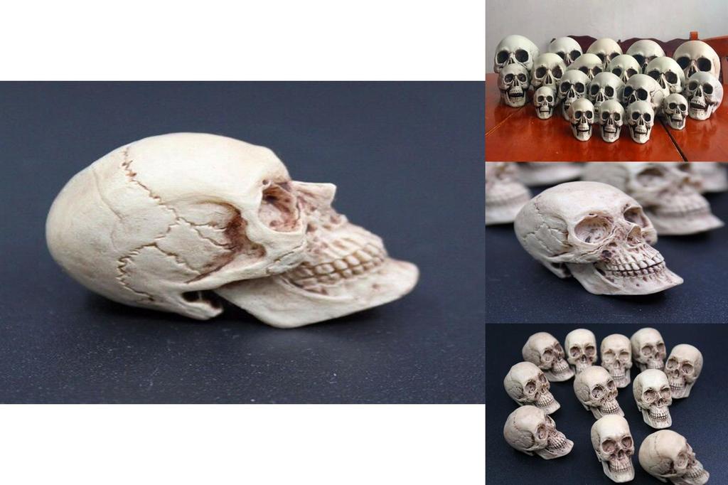Mini Artificial Skull For Anatomical Scenes Perfect For Home Decor And Gifts
