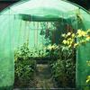 Tunnel Garden Greenhouse - SPRINGOS - 200 X 450 X 200 Cm - Galvanized Metal - UV Protection - PE Film 140 G/m²