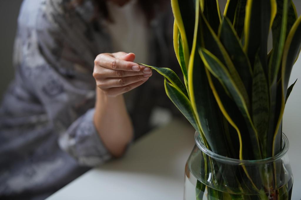 7artisans 85mm AF Prime F1.8 E-Mount Lens, Full-Frame (2-Year Warranty)