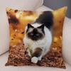 Cute Pet Animal Print Pillowcase Funny  Cat  Decoration Car Sofa Home Cushion Cover