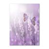 Lienzo Pintura Morado Flores Lila Lavanda Póster Bicicleta Paisaje Rural Imagen Decoración Pared Hogar Dormitorio Fondo