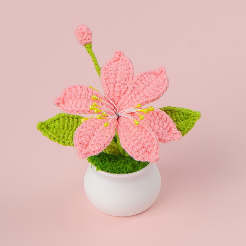 Hand-Knitted Wool Fake Flowers Set: Sunflower, Carnation, Tulip - Desktop Decor, Teacher/Student Gift, Everlasting Bouquet