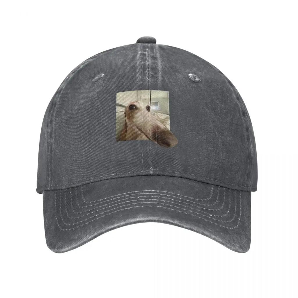 Funny Dog Baseball Cap hats on offer New In Hat Winter hat designer cap For Women Unisexs