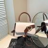 Trendy Small Square Bag Niche Design Personalized Foreign Style Contrast Color 2025 Summer New Simple Women's Bag Oblique Span Handbag