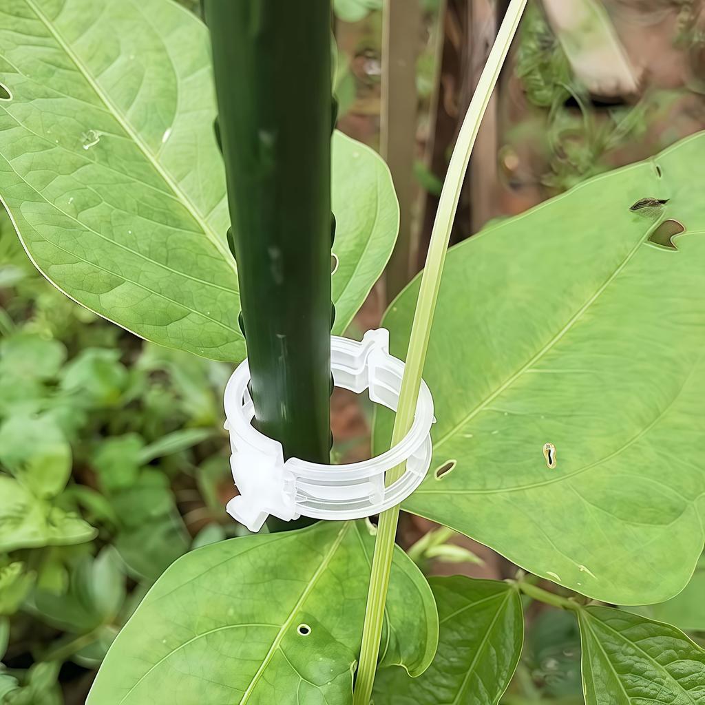 Vine Clips, Suitable for Cucumbers, Peppers, and Various Vegetables. Reusable, Durable, Easy To Secure Without Damaging Plants