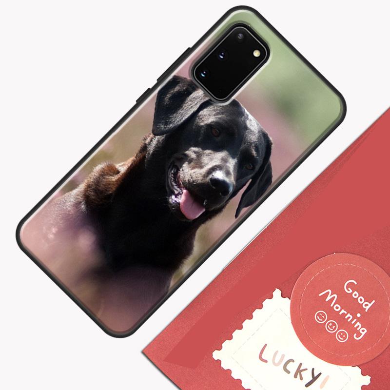 Black labrador retriever Animal Dog Phone Case For Samsung Galaxy S26 S25 S24 S20 S21 S22 S23 Ultra S10 Plus S25 FE Cover Shell