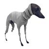 European & American Solid Color High-Neck Slim Fit Ribbed Dog Clothes for Autumn & Winter.