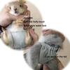Absorbent Squirrel Physiological Underwear Breathable Groundhog Briefs Period Panties  Incontinence