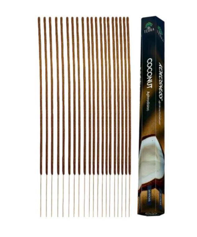 Terra cocco incenso 20 pezzi. cannella