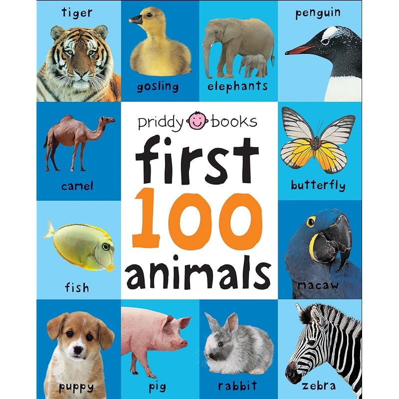 FIRST 100 ANIMALS(BB) (First 100 Soft to Touch)