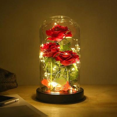 Valentine's Day Rose Gifts for Her Rose Flowers with LED Lights String Birthday Gifts for Women