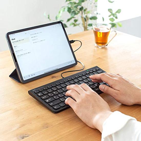 Sanwa Supply USB Type-C Slim Keyboard SKB-SL32CBK