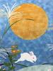 Washi Kawasumi Pattern Yuzen Washi Tapestry Jugoya 58 X 46cm Presentation Box Jugoya All-over