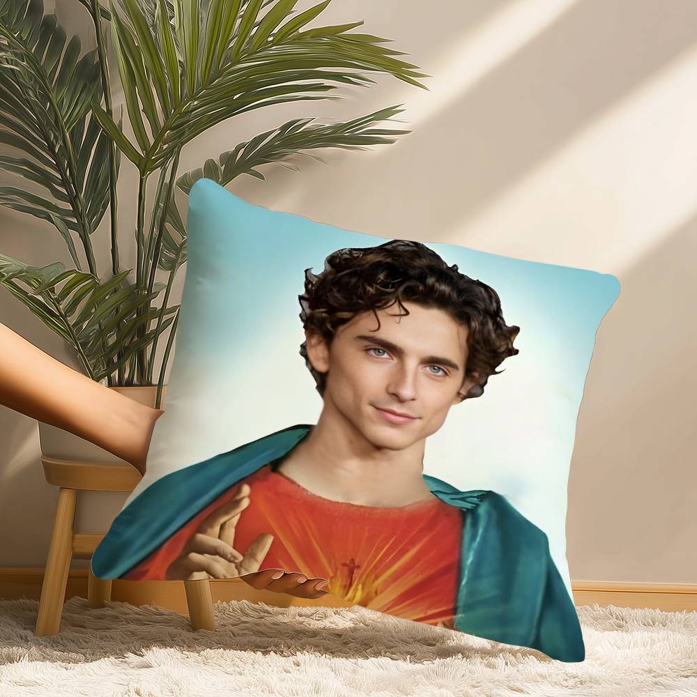 T-Timothees Chalamets Pillow Case Short Plush Print Cushion Cover Square Throw Pillow Covers Sofa Home Decor