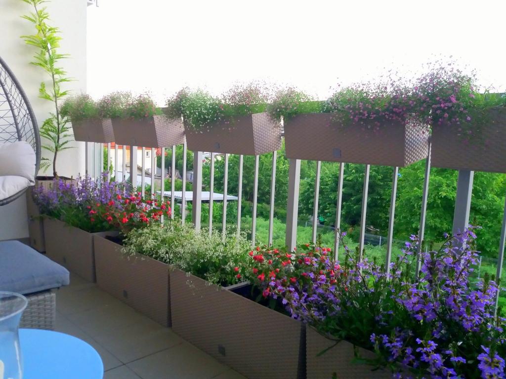 RATO Pojemnik DRTC500 Doniczka samonawadniająca | Antracyt