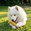 Weaving Bite Resistant Pet Toys Golden Retriever Teddy Small and Medium Dogs Unstuffing Knot Cotton Rope Toys
