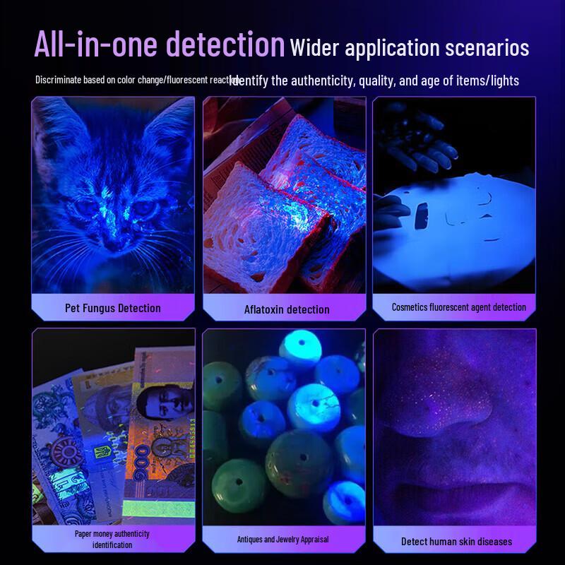 Professional UV Blacklight Flashlight & Wood's Lamp for Detection