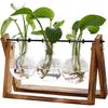 Plant Terrarium with Wooden Stand, Air Planter Bulb Holder Retro Tabletop for Hydroponics Home Garden Office Decoration - 1-3Bulb Vase