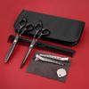 Professional Hairdressing Scissor Set