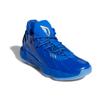 Adidas Ric Flair X Adidas Dame 7 'Royal Blue' Sneakers FY2807