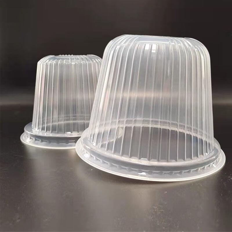 

Yiceng Disposable Food Packing Containers