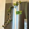 Břečťanové rostliny Samolepky na lednici Realistický design 3D Magnetické břečťanové listy Samolepky na lednici Flexibilní stonky Botanická dekorace