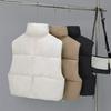 Short stand-up collar cotton vest women's loose fashion cotton vest autumn and winter new down cotton versatile vest