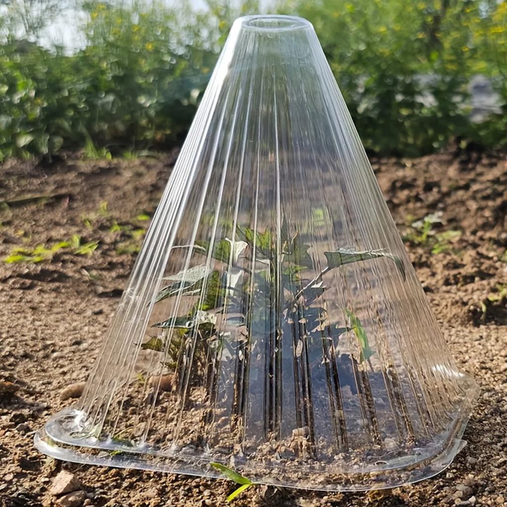 20pcs Set Of Transparent Plastic Plant Covers - Reusable Greenhouses For Frost