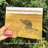 2026 Cross-Border Dog Pooping Wall Calendar: Fun & Goofy Canine Moments