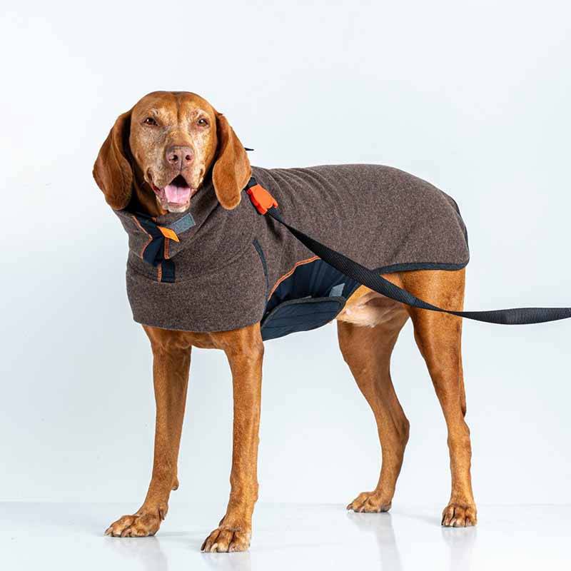 large dog sweaters cheap