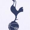Nike Men's HJ4550-101 Tottenham Hotspur 2025/26 Match Home Authentic Shirt