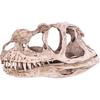 GOTOTOP Dinosaur Skull Model, Dinosaur Skull Model Simulated Animal Skeleton Lifelike Teaching Skeleton Model for Home Office Aquarium Bar Party