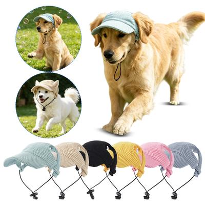 Giyim ve ayakkabı – Köpek için şapkalar