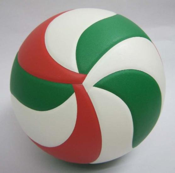 Molten Volleyball 4 Practice Ball V4M3500 No.
