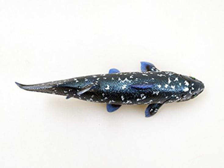 Miękki Model Laskonosa (FF-001)