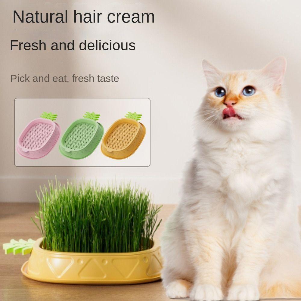 Seed Sprouting Trays Planting Hydroponics Boxes Soilless Hydroponic Cat Grass Case Pet Supplies