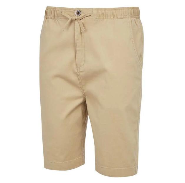Regatta Шорты Aldan