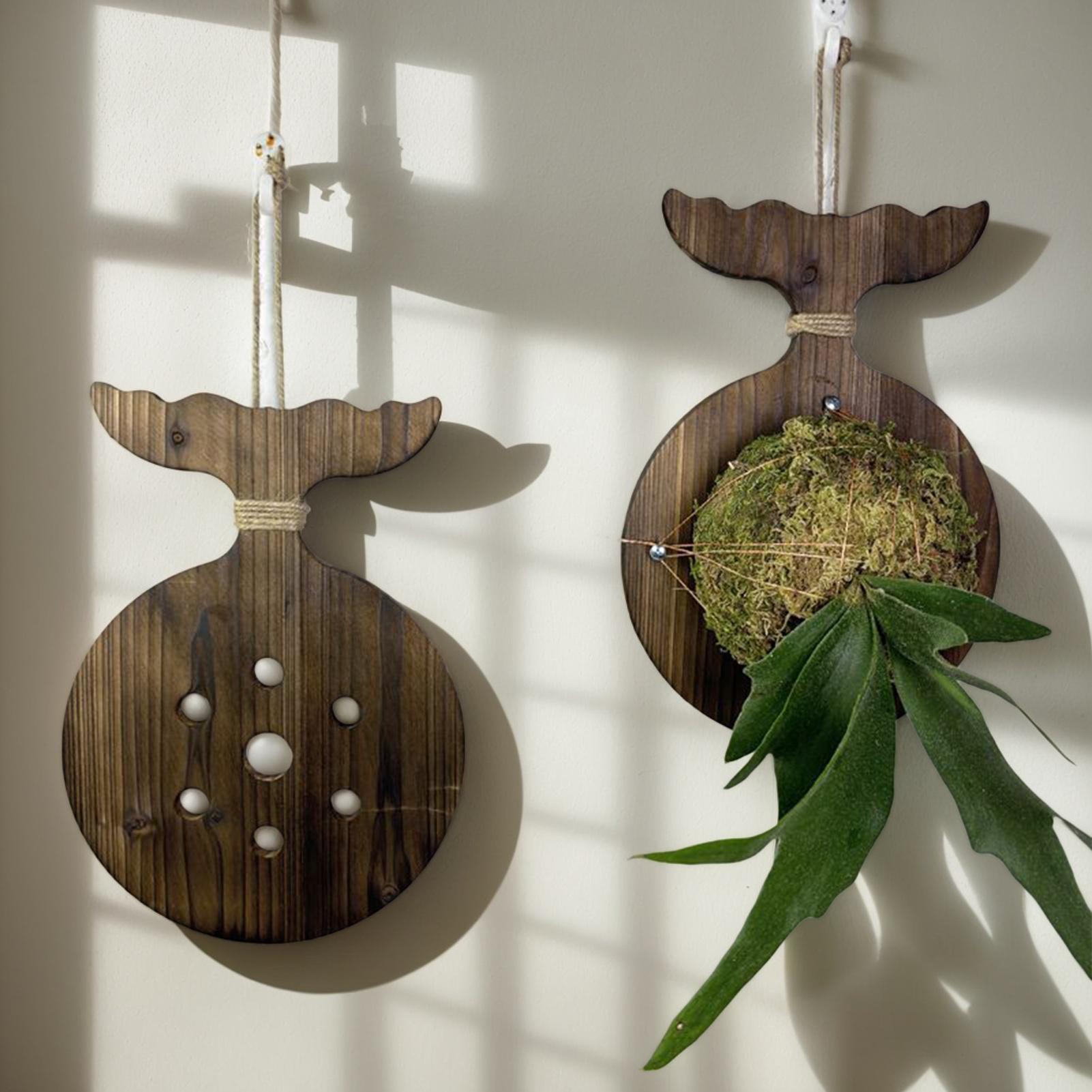 

1Pcs Carbonized Solid Wood Staghorn Fern Hanging Board Wall Mounted Planter For Vertical Garden Chids Hanging Planter Wall China Mainland