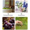 Horticultural Scissors Bird Branch Pruning Beak Shape Labor Saving Pruning Stainless Steel Picking Multifunctional Fruit Scissor
