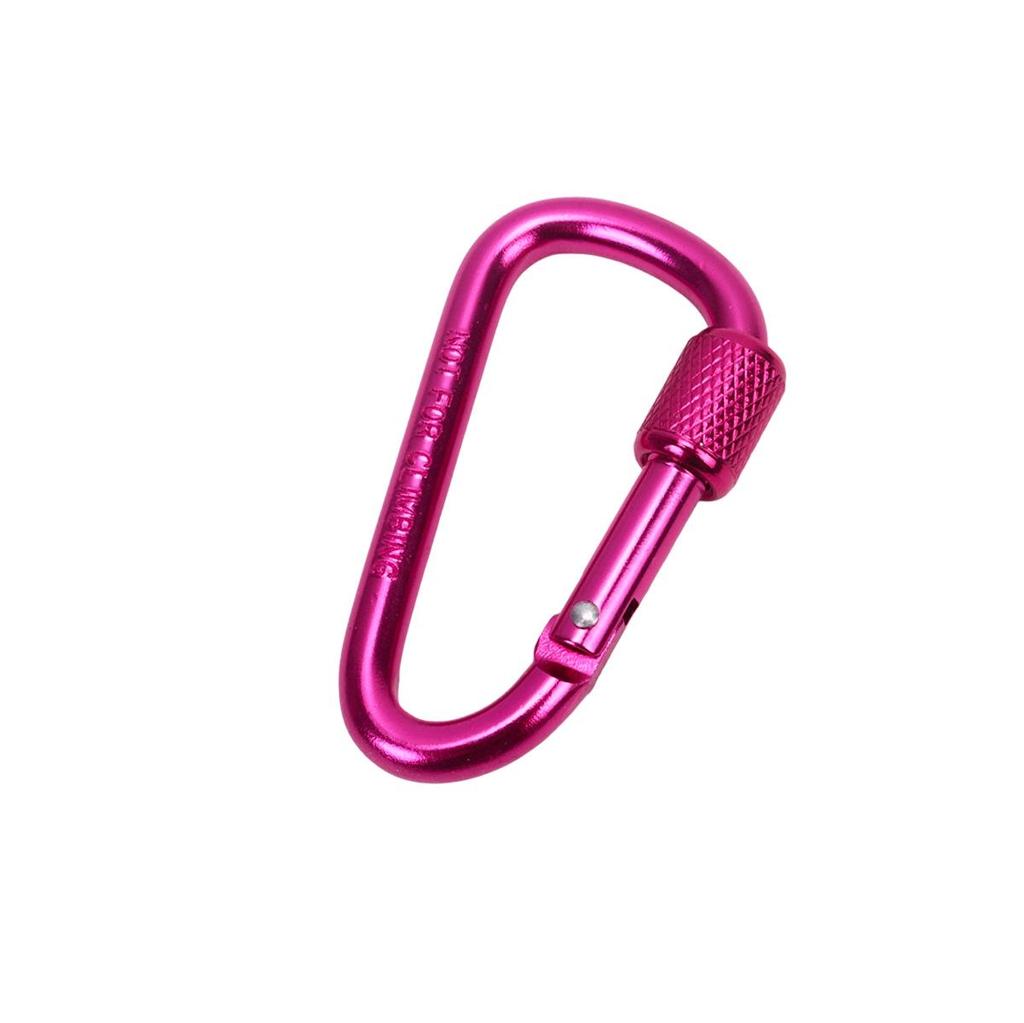 D-Shaped Locking Aluminum Carabiner No. 6 with Keyring for Backpack and Rope